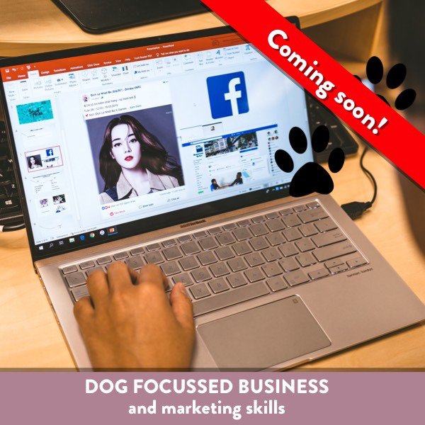 Dog Focussed Business and Marketing Skills 4